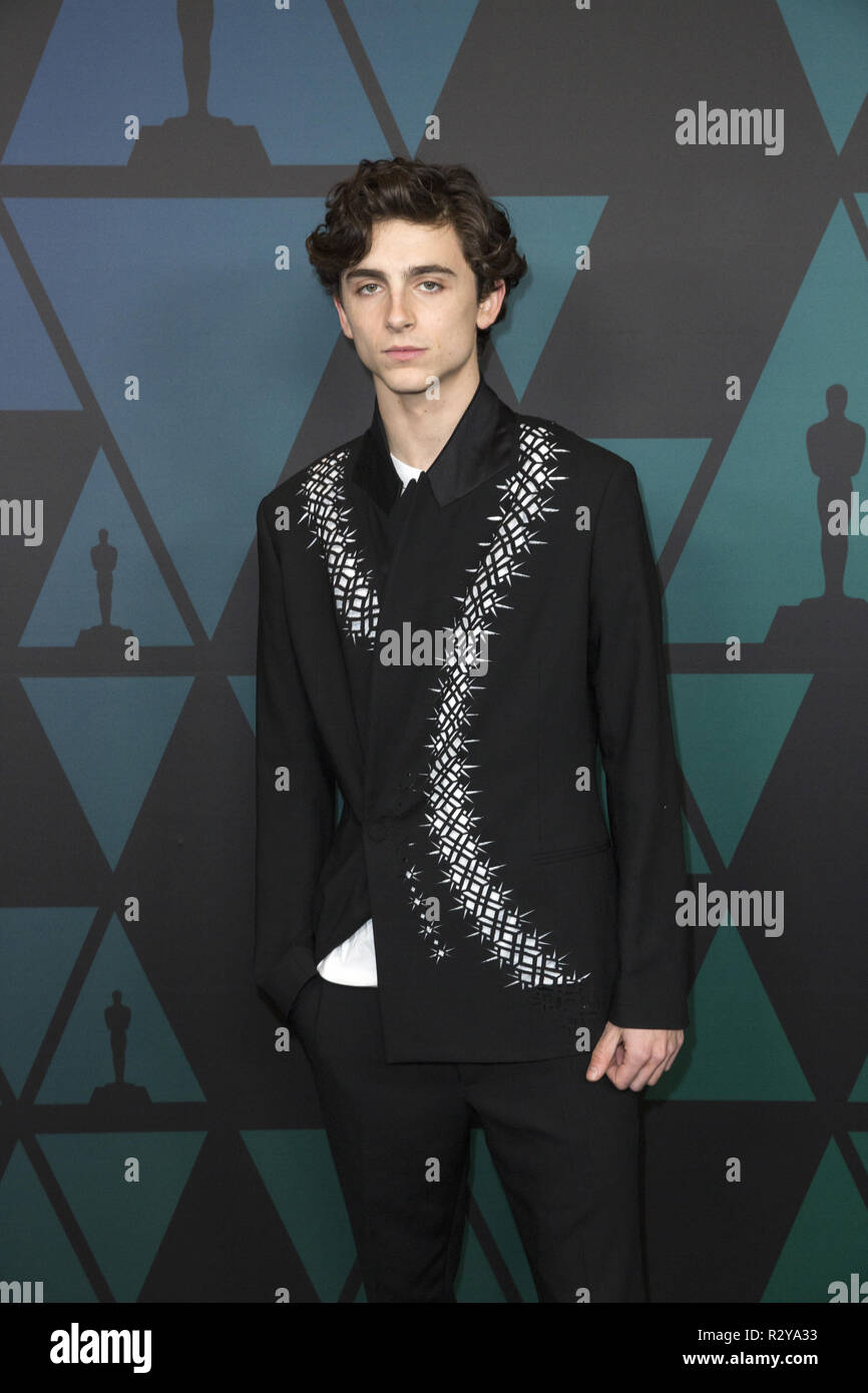 Timothe`e Chalamet attends the Academy’s 2018 Annual Governors Awards in The Ray Dolby Ballroom at Hollywood & Highland Center in Hollywood, CA, on Sunday, November 18, 2018. Stock Photo